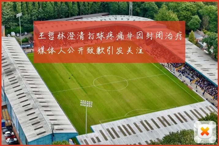 王哲林澄清打球疼痛非因封闭治疗媒体人公开致歉引发关注