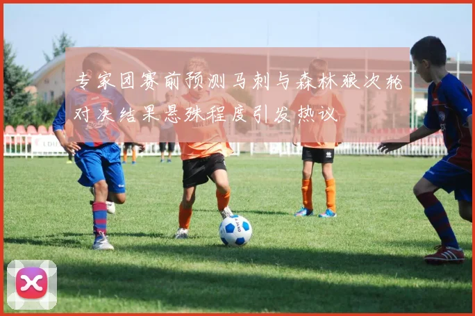 专家团赛前预测马刺与森林狼次轮对决结果悬殊程度引发热议